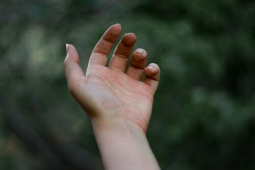 idin-ebrahimi-3fMhZCIXKcE-unsplash Spirituele dag familie transformerend